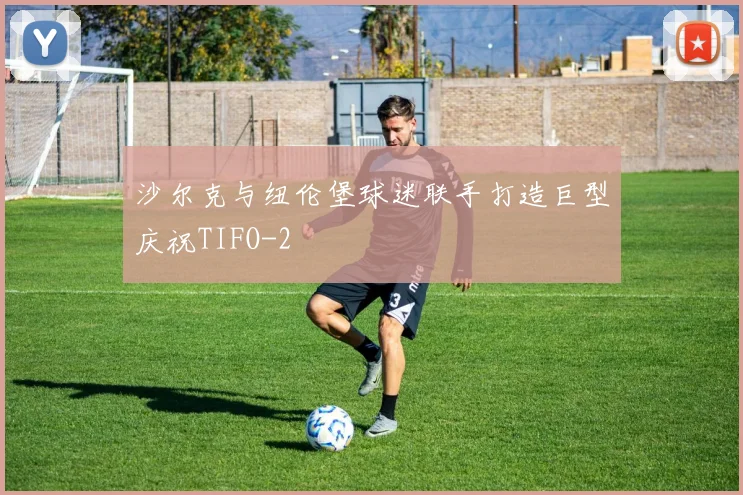 沙尔克与纽伦堡球迷联手打造巨型庆祝TIFO