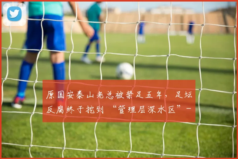原国安泰山老总被禁足五年，足坛反腐终于挖到 “管理层深水区”