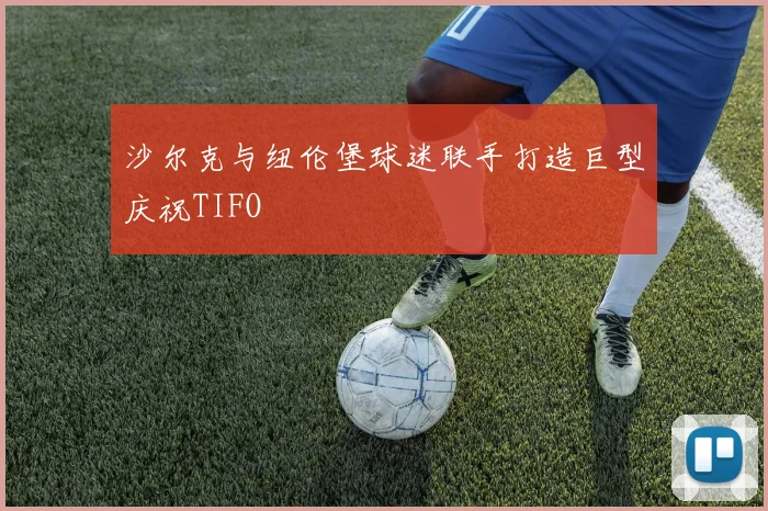 沙尔克与纽伦堡球迷联手打造巨型庆祝TIFO