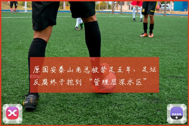 原国安泰山老总被禁足五年，足坛反腐终于挖到 “管理层深水区”